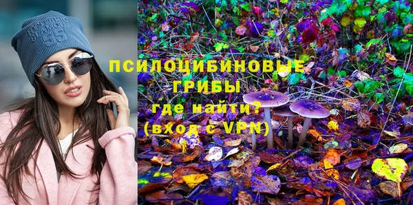 прущая мука Белокуриха