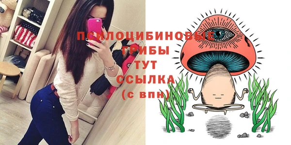 spice Белоозёрский